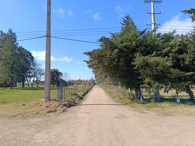 Terrenos en Venta en Durazno , Durazno