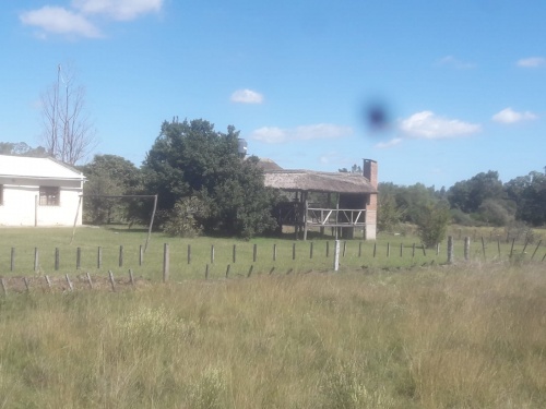 Campo / Chacra en Venta en Mercedes, Soriano