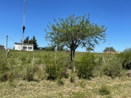 Terreno en Venta en Mercedes, Soriano