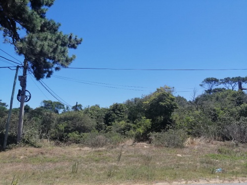 Terrenos en Venta en Punta del Este, Maldonado