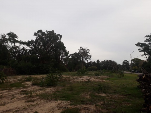 Terreno en Venta en Marly, Punta del Este, Maldonado