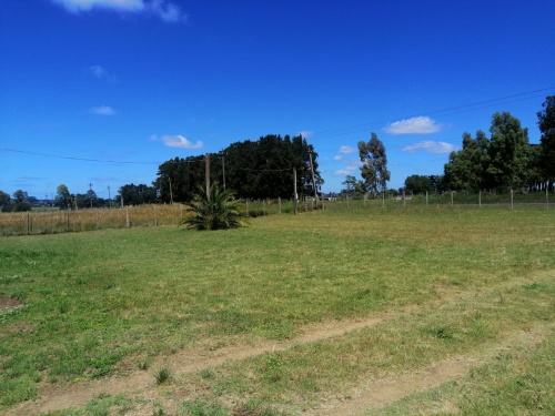 Campo / Chacra en Venta en Pando, Canelones