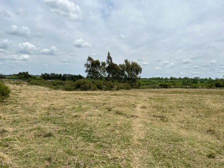 Terreno en Venta en Carrasco Norte, Montevideo