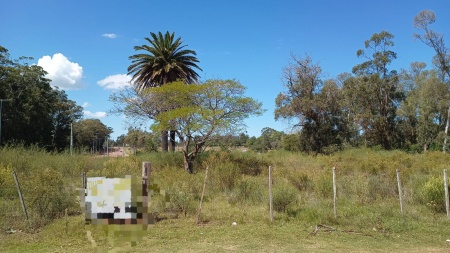 Terrenos en Venta en Maldonado, Maldonado