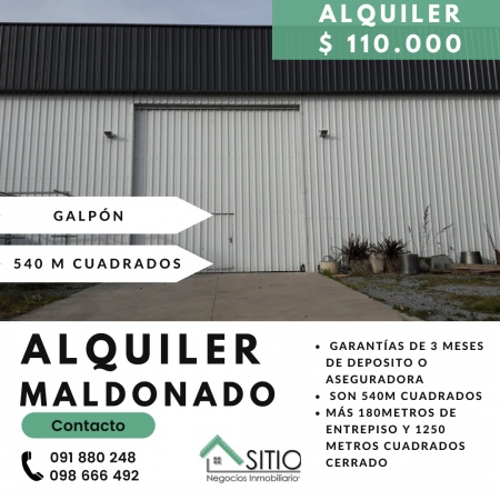 Locales Comerciales en Alquiler en Maldonado