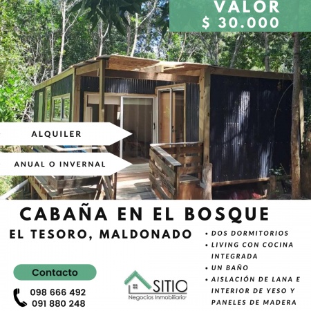 Casas en Alquiler en Maldonado