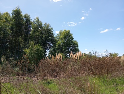 Terrenos en Venta en La Tahona, Canelones