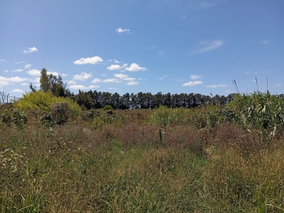 Terrenos en Venta en Altos de La Tahona, Ciudad de la Costa, Canelones