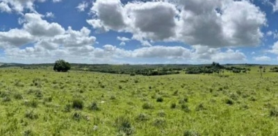 Chacra de cultivo en Venta en Rocha, Rocha