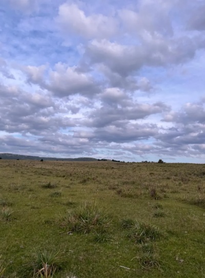 Chacra/ Turistica en Venta en Salto del Penitente, Lavalleja