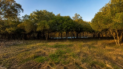 Chacra en Venta en San Carlos, Maldonado