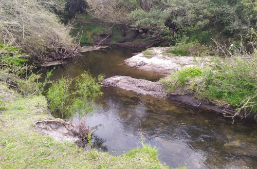 Campo / Chacra en Venta en Salto, Salto