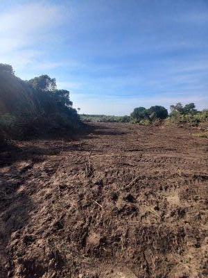Campo / Chacra en Venta en Salto, Salto