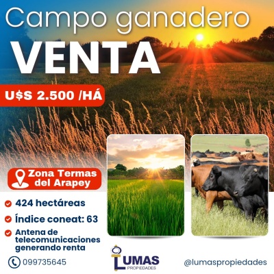 Campo / Chacra en Venta en Salto, Salto