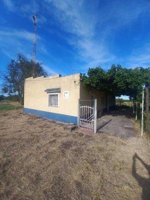 Otras propiedades en Alquiler en Salto, Salto