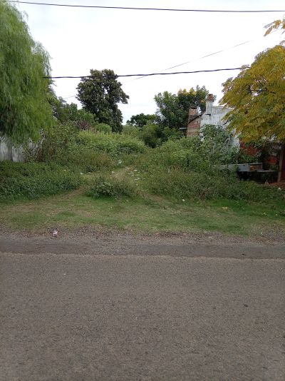  en Venta en Salto, Salto