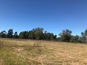 Terreno en Venta en Arrayanes, Soriano