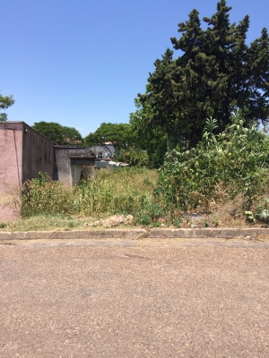 Terreno en Venta en Salto, Salto
