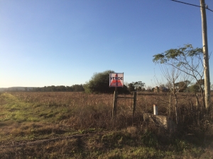 Campo / Chacra en Venta en Salto, Salto