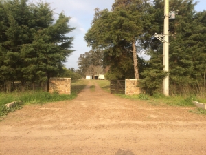 Campo / Chacra en Venta en Salto