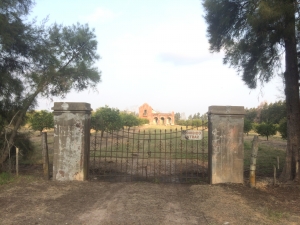 Campo / Chacra en Venta en Salto