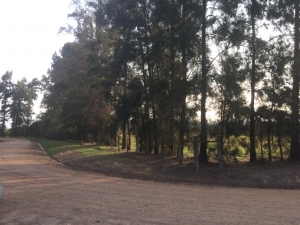 Campo / Chacra en Venta en Salto