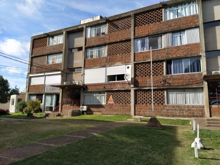 Apartamentos en Alquiler en ALGARROBOS, Salto