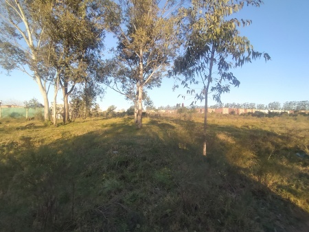 Terrenos en Venta en BARRIO ARTIGAS, Salto