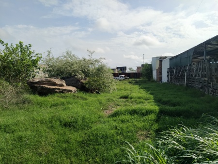 Terreno en Venta en CEIBAL, Salto, Salto