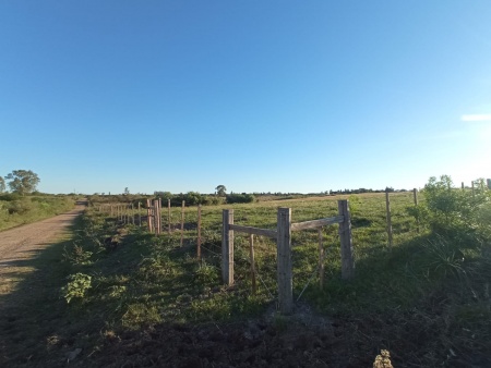 Campo / Chacra en Venta en AUTODROMO, Salto, Salto