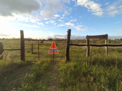 Campo / Chacra en Venta en COLONIA 18 DE JULIO, Salto, Salto