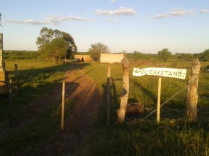 Campo / Chacra en Venta en Paysandú