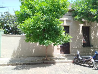 Casa en Venta en CENTRO, Salto, Salto