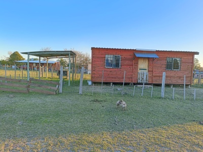 Casas en Alquiler en COLONIA OSIMANI, Salto, Salto