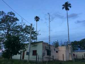 Campo / Chacra en Venta en Salto, Salto