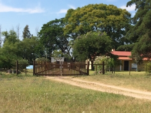 Campo / Chacra en Venta en Salto, Salto