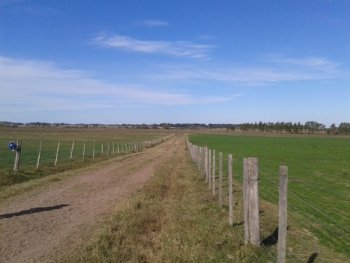 Campos y Chacras en Venta en Rafael Perazza, San José de Mayo, San José