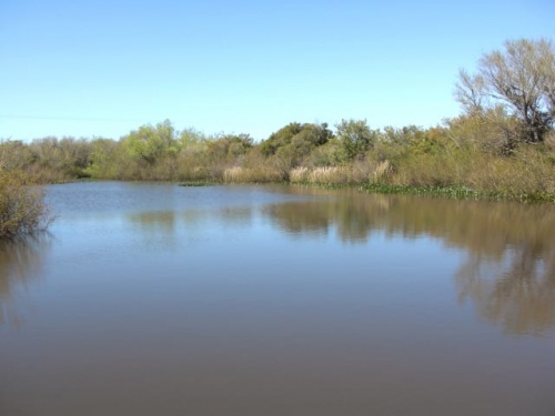 Campo / Chacra en Venta en Velázquez, Rocha, Rocha