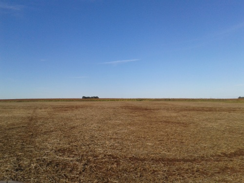 Campos y Chacras en Venta en Barker, Colonia del Sacramento, Colonia