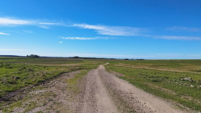 Campo en Venta en El Tala, Mercedes, Soriano