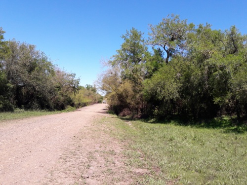 Campos y Chacras en Venta en Piñera, Paysandú