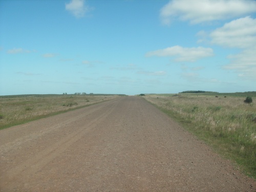 Campo / Chacra en Venta en Carlos Reyles, Durazno , Durazno