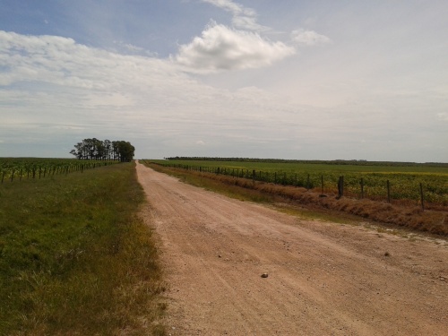 Campo / Chacra en Venta en Mendizabal, Treinta y Tres, Treinta y Tres