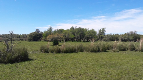 Campos y Chacras en Venta en Minas, Lavalleja