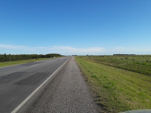 Campos y Chacras en Venta en Young, Río Negro