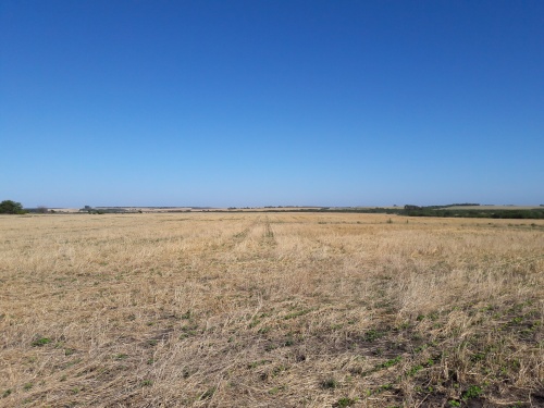 Campo / Chacra en Venta en San José de Mayo, San José