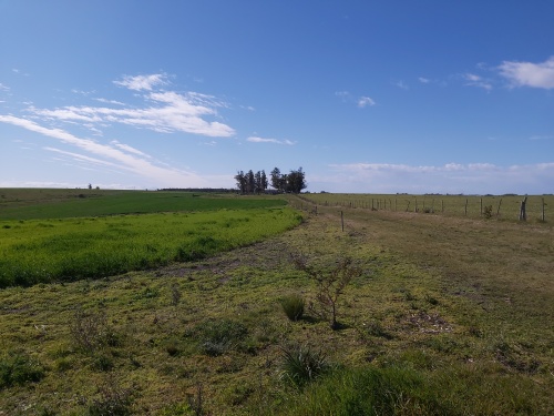 Campo / Chacra en Venta en San José de Mayo, San José