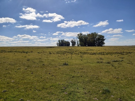 Campo / Chacra en Venta en Juan José Castro, Flores