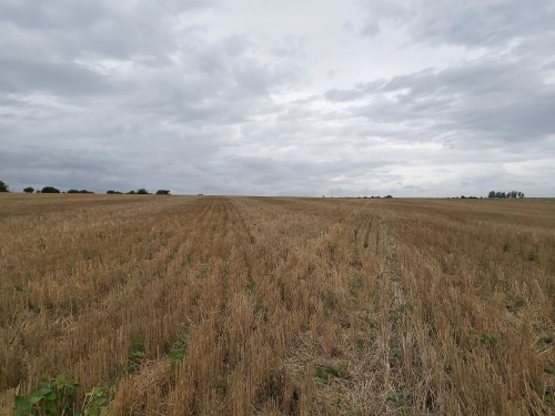 Campo / Chacra en Venta en San Gregorio, San José