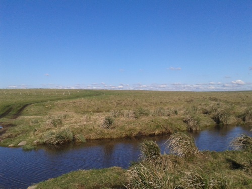 Campo / Chacra en Venta en Chamanga, Flores